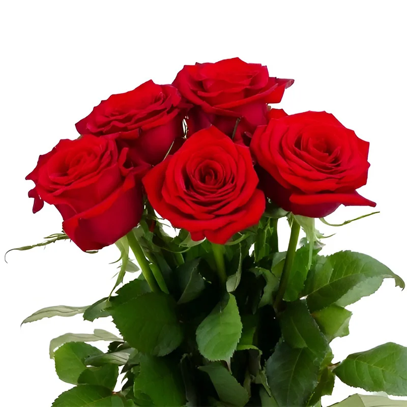 Bouquet natalizio