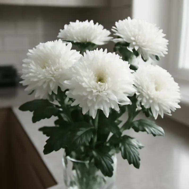 Aster bianco - immagine 3