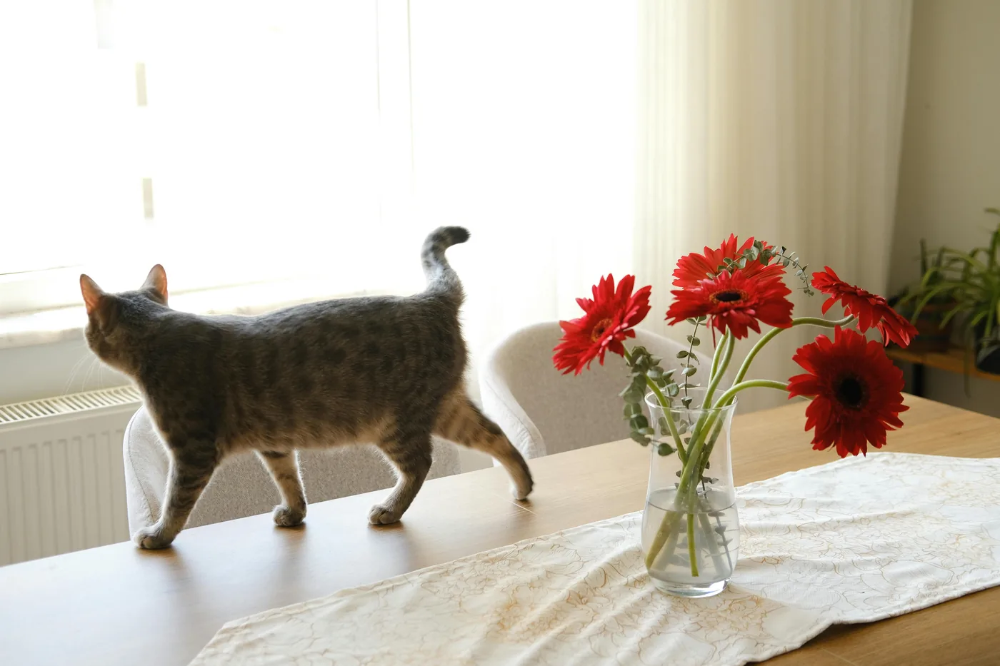 Fiori tossici per cani e gatti: guida completa