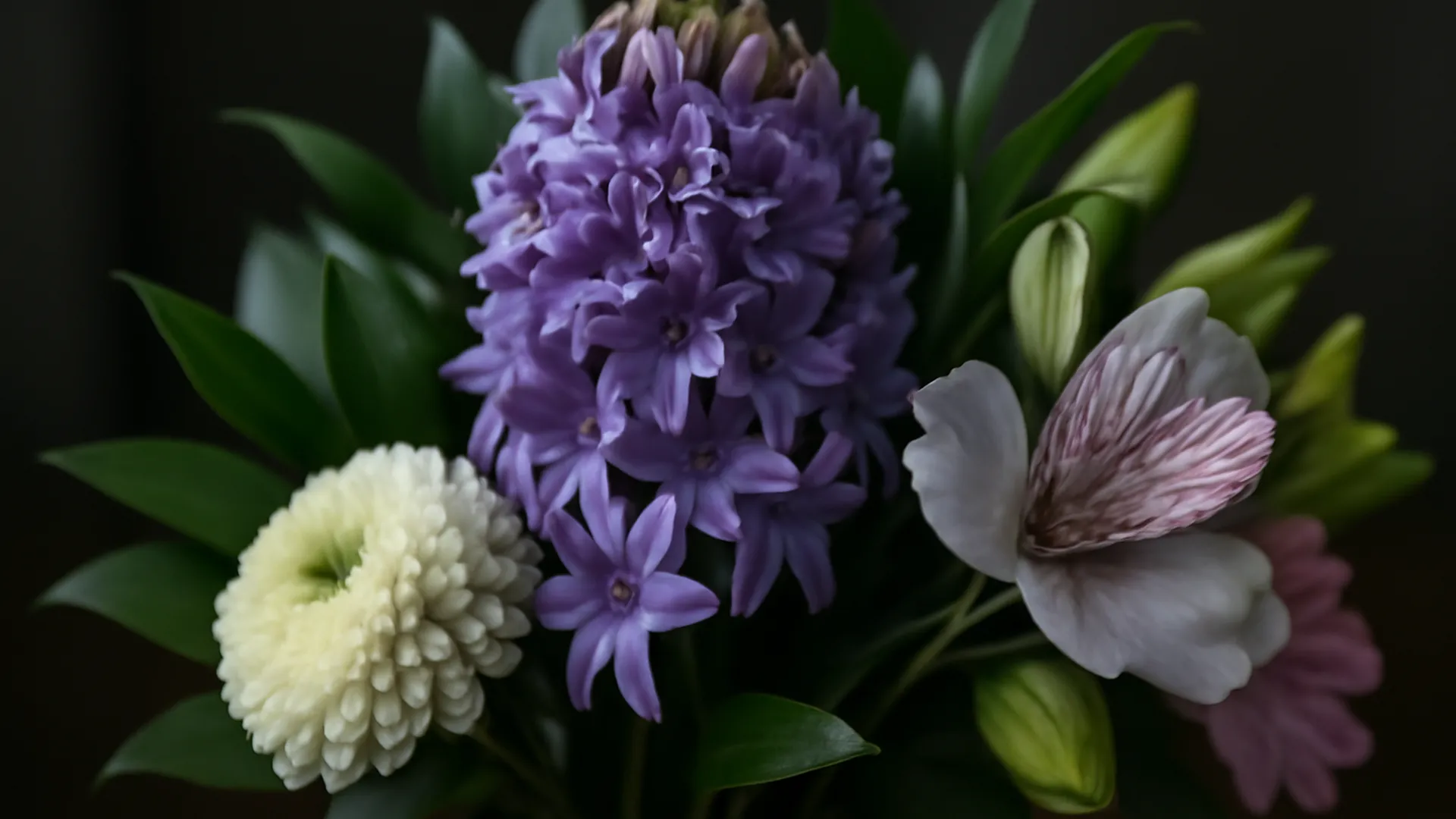Giacinto: fiore primaverile profumato