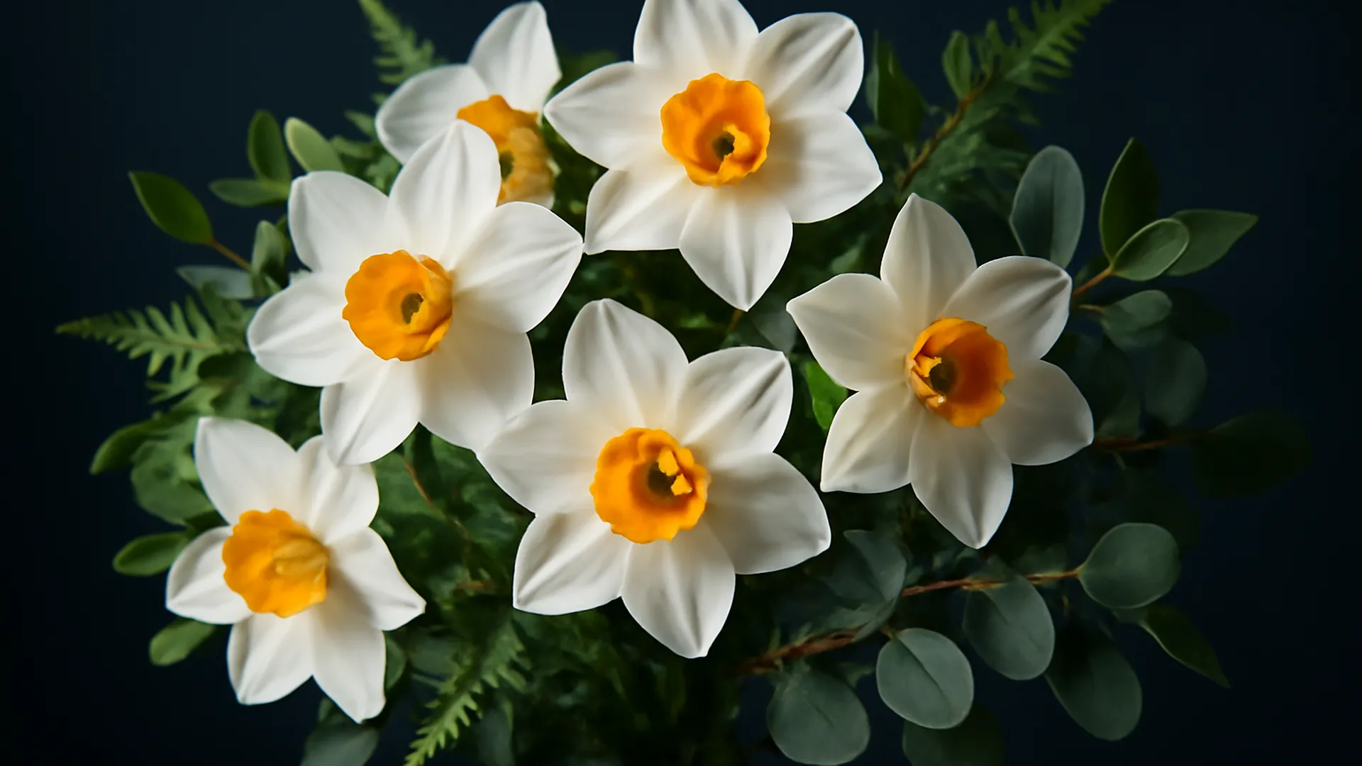 Narciso: il primo fiore della primavera