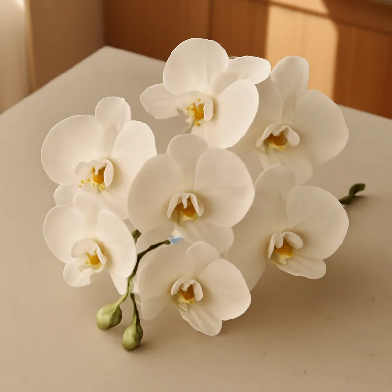Orchidea Farfalla Classica - immagine 3