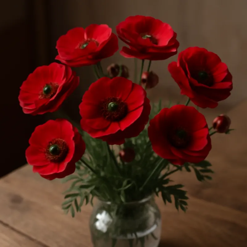 Ranuncolo rosso - immagine 3