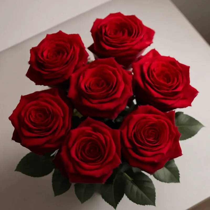 Rosa rossa - immagine 3