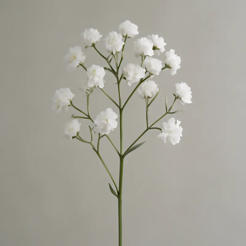 Velo da sposa bianco